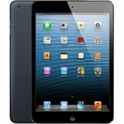 Apple iPad mini 0.5gb16gb